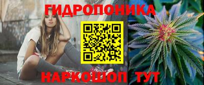 МДПВ Гусев