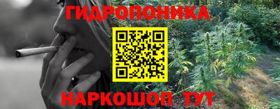 МДПВ Гусев