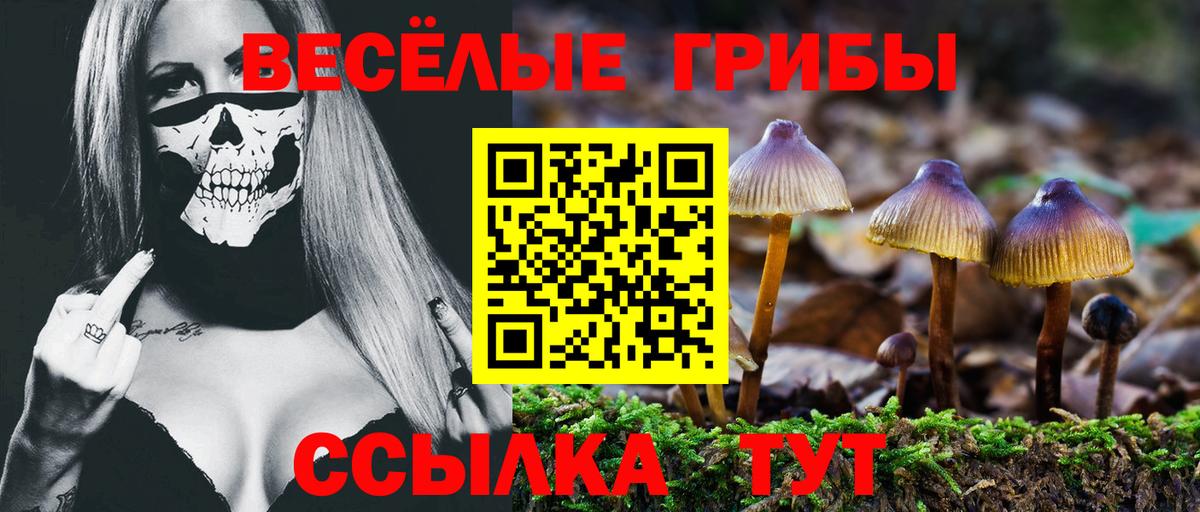 Псилоцибиновые грибы GOLDEN TEACHER  Вход с VPN  Псилоцибиновые грибы GOLDEN TEACHER  Нурлат 